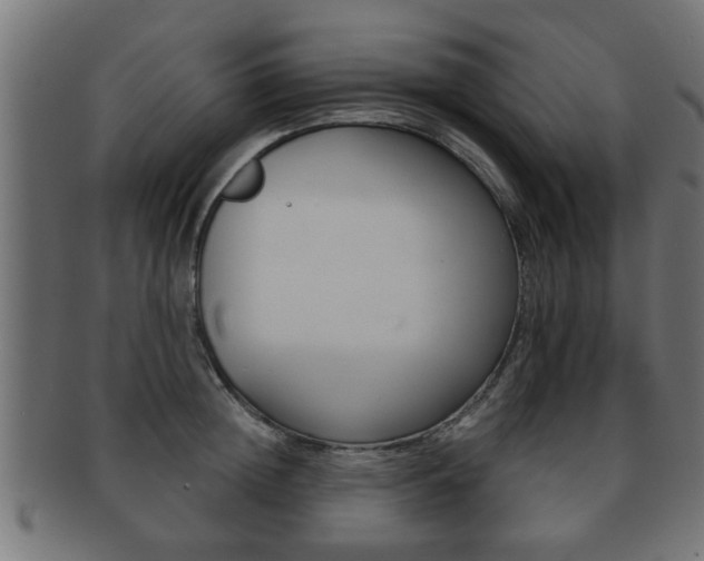 X0000091950852200709061038