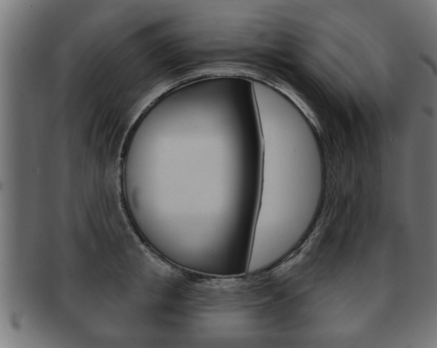 X0000091950853200709061038