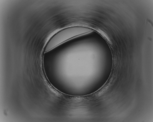 X0000091950854200709061038