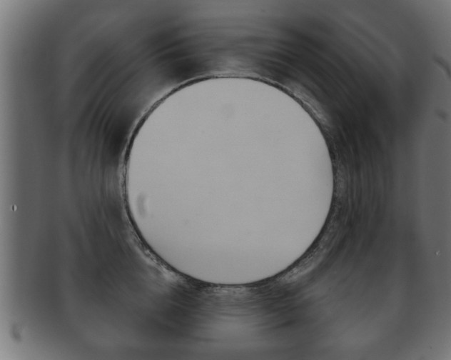 X0000091950856200709061038