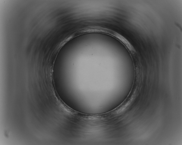 X0000091950857200709061038