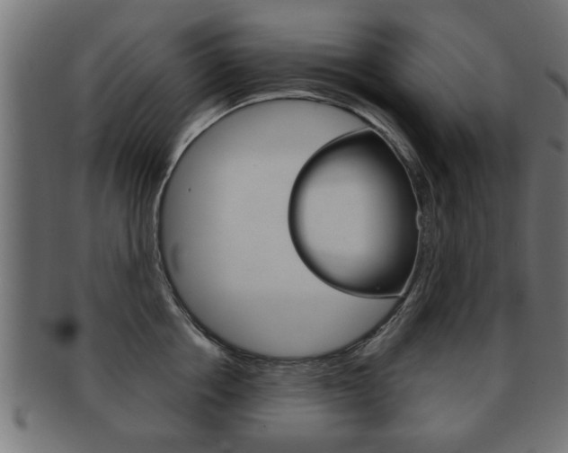 X0000091950858200709061038
