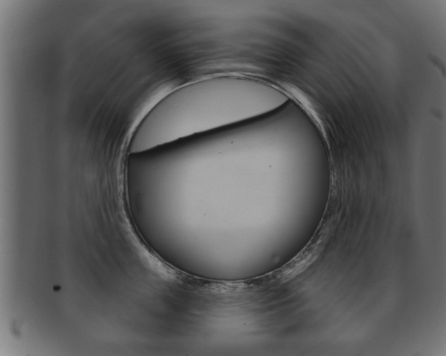 X0000091950859200709061038