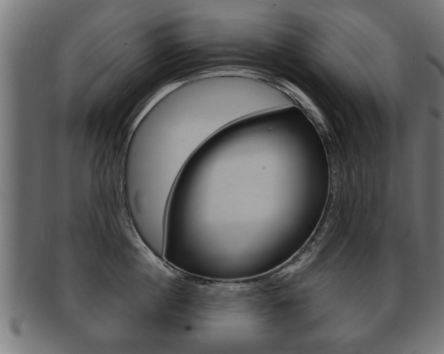 X0000091950860200709061038