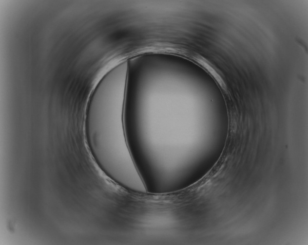 X0000091950861200709061038