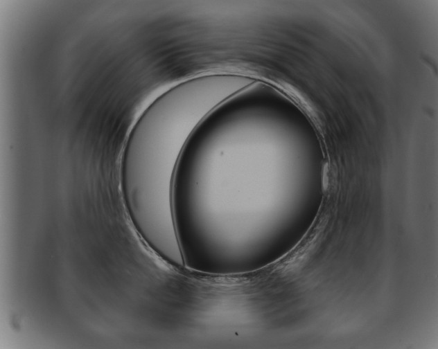 X0000091950862200709061038