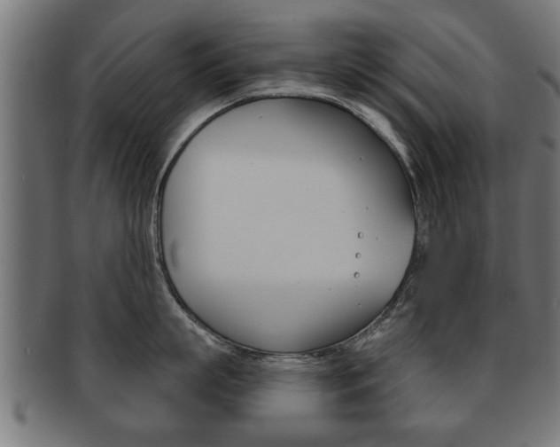 X0000091950863200709061038