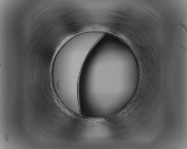 X0000091950864200709061038