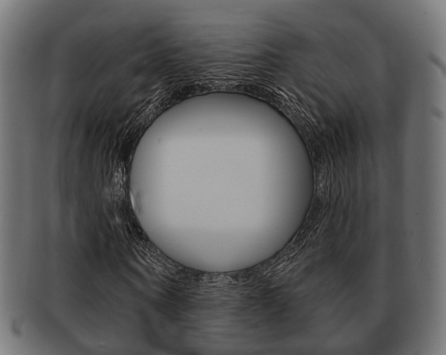 X0000091950866200709061037