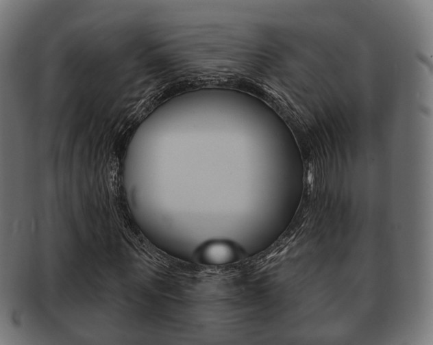 X0000091950867200709061037