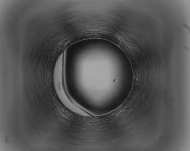 X0000091950868200709061037