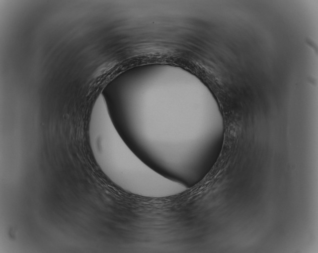X0000091950869200709061037