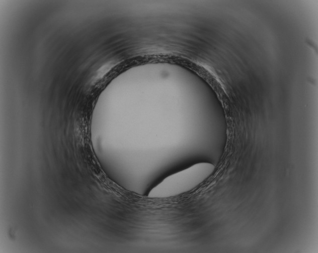 X0000091950871200709061037