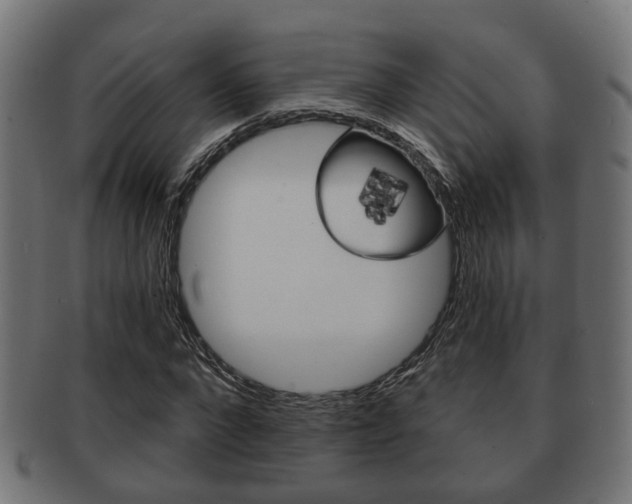 X0000091950872200709061037