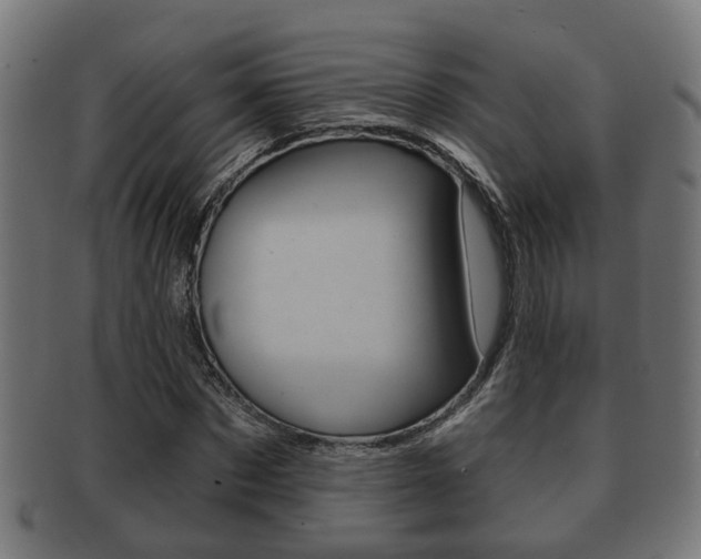 X0000091950873200709061037