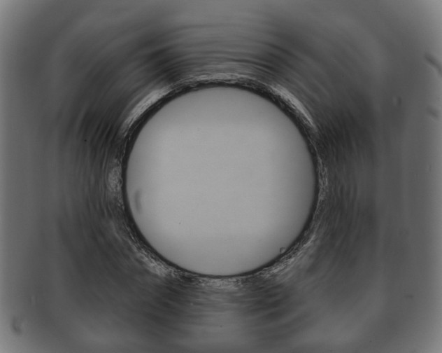 X0000091950874200709061037