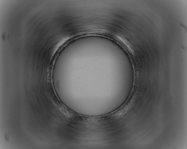 X0000091950875200709061037