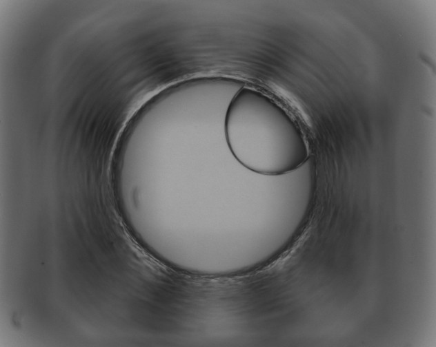 X0000091950876200709061037