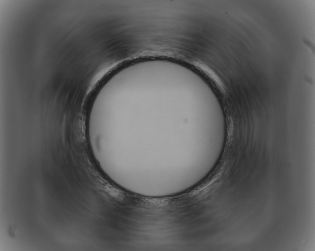 X0000091950878200709061037