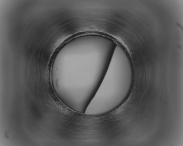 X0000091950879200709061037