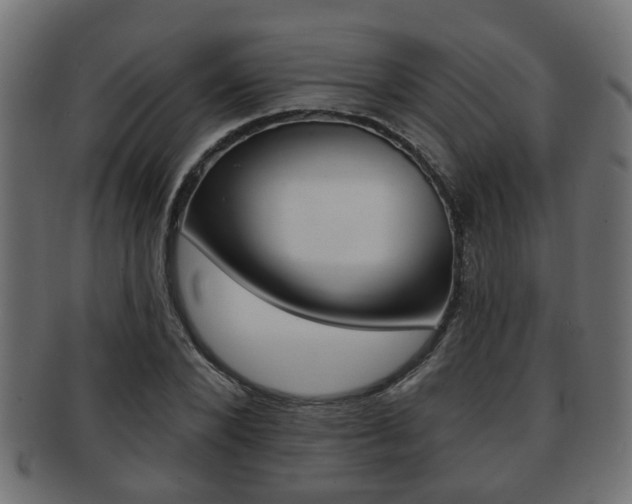 X0000091950880200709061037