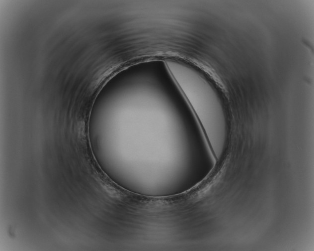X0000091950881200709061037