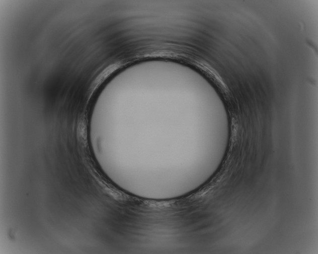 X0000091950882200709061037