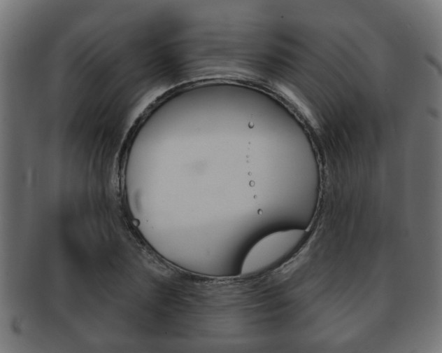 X0000091950883200709061037
