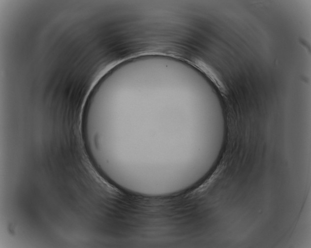 X0000091950884200709061037