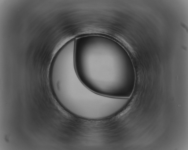 X0000091950885200709061037