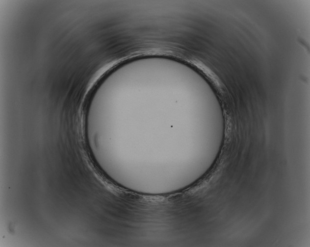 X0000091950886200709061037