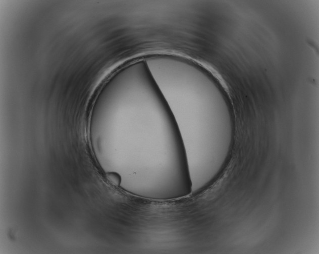 X0000091950887200709061037