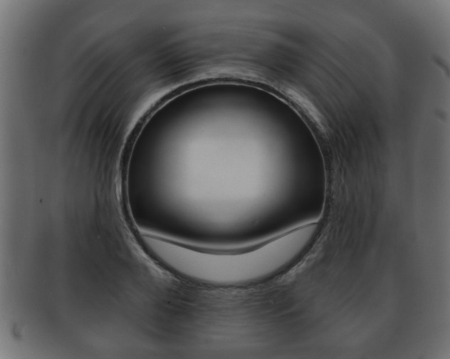 X0000091950888200709061037