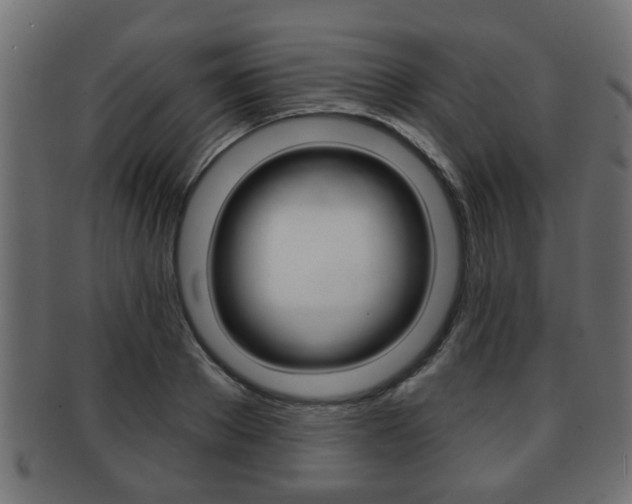 X0000091950889200709061037