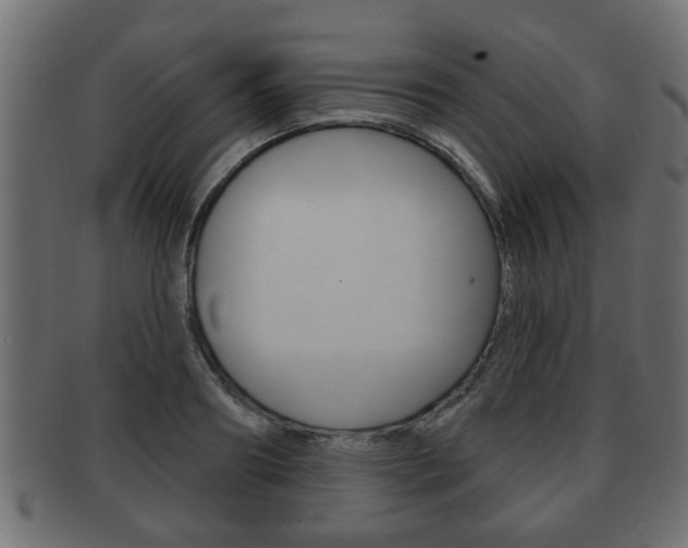 X0000091950890200709061037