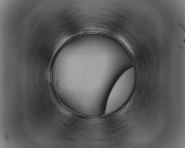 X0000091950891200709061037