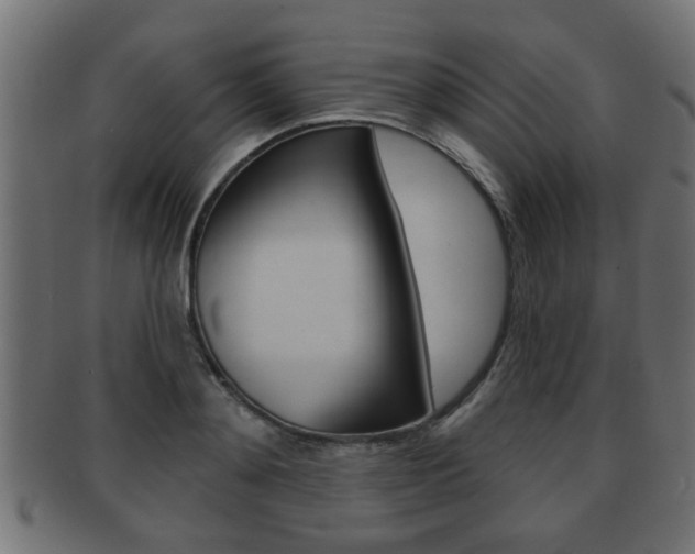 X0000091950892200709061037