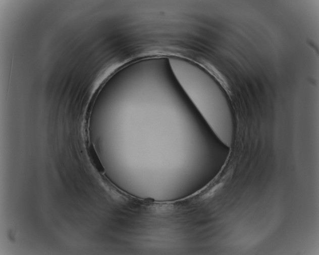 X0000091950893200709061037