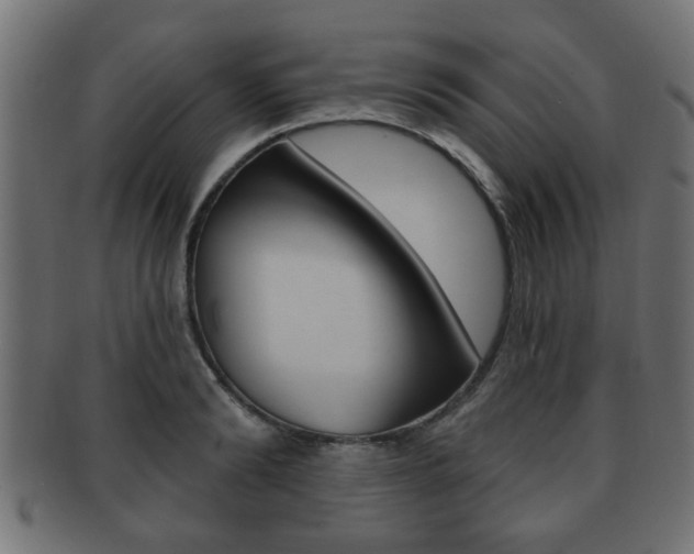 X0000091950894200709061037