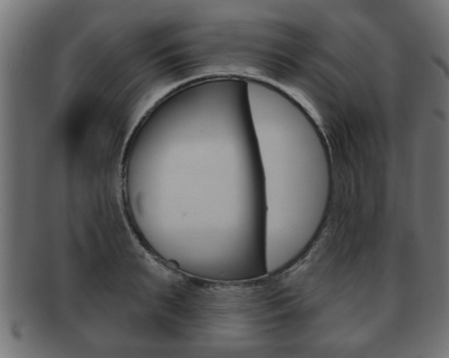 X0000091950895200709061037