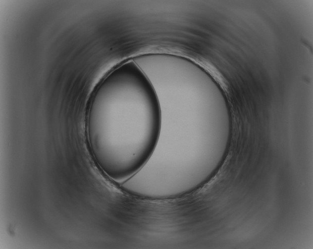 X0000091950896200709061037