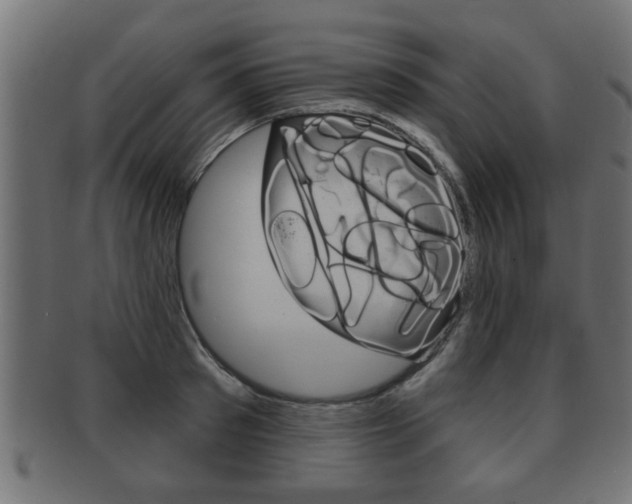 X0000091950897200709061037