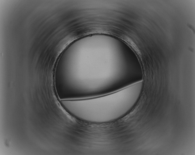 X0000091950898200709061037