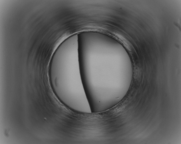 X0000091950899200709061037