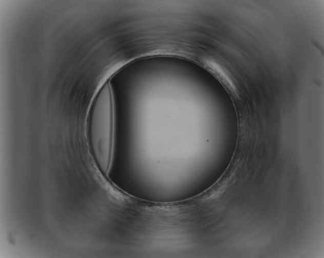 X0000091950900200709061037