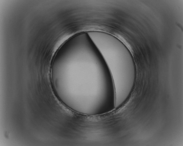 X0000091950901200709061037