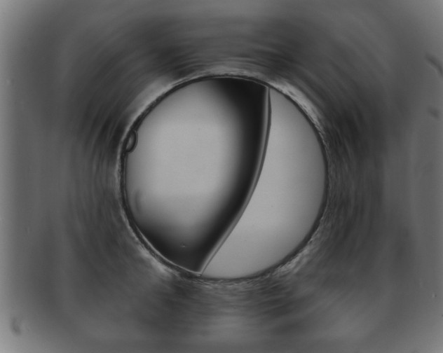 X0000091950902200709061037