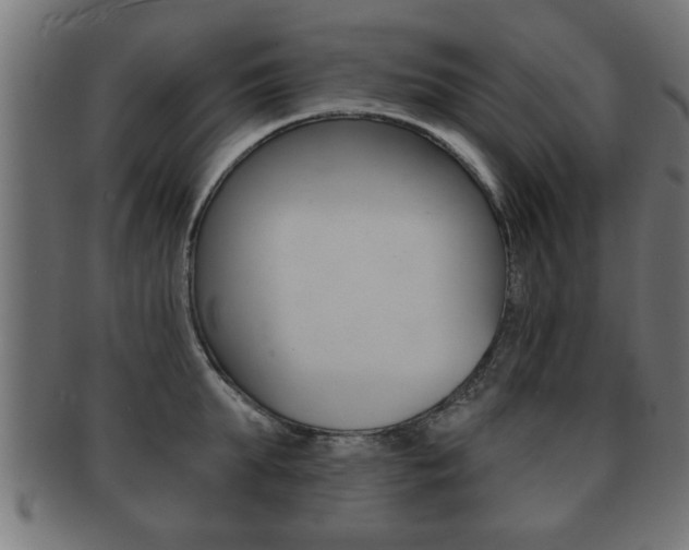 X0000091950903200709061037