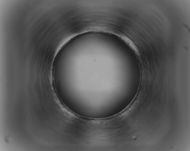 X0000091950904200709061037