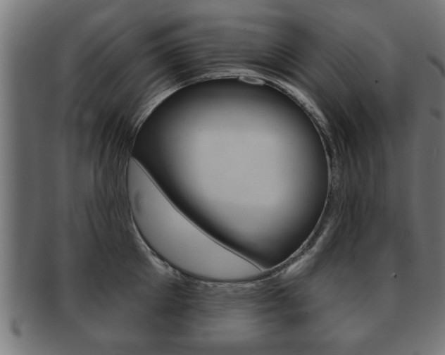 X0000091950905200709061037